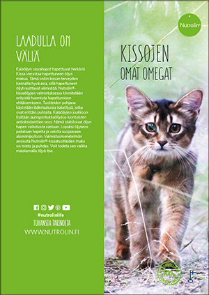 Nutrolin® Cat Senior - Ravintoöljy ikääntyvälle kissalle