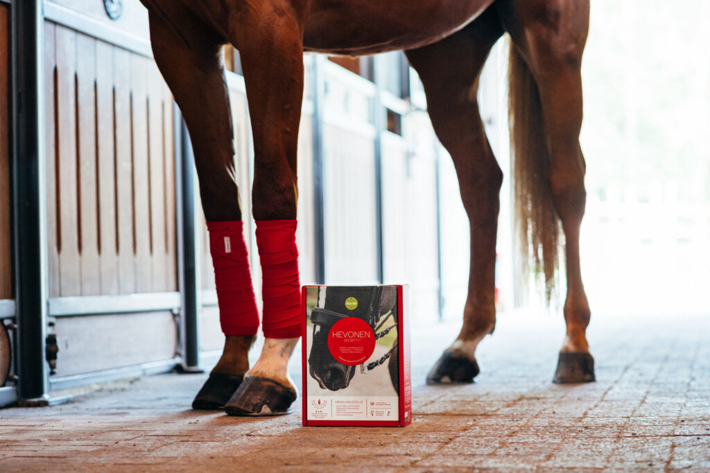 Hevonen Sportti -paketti rautiaan hevosen jaloissa tallikäytävällä