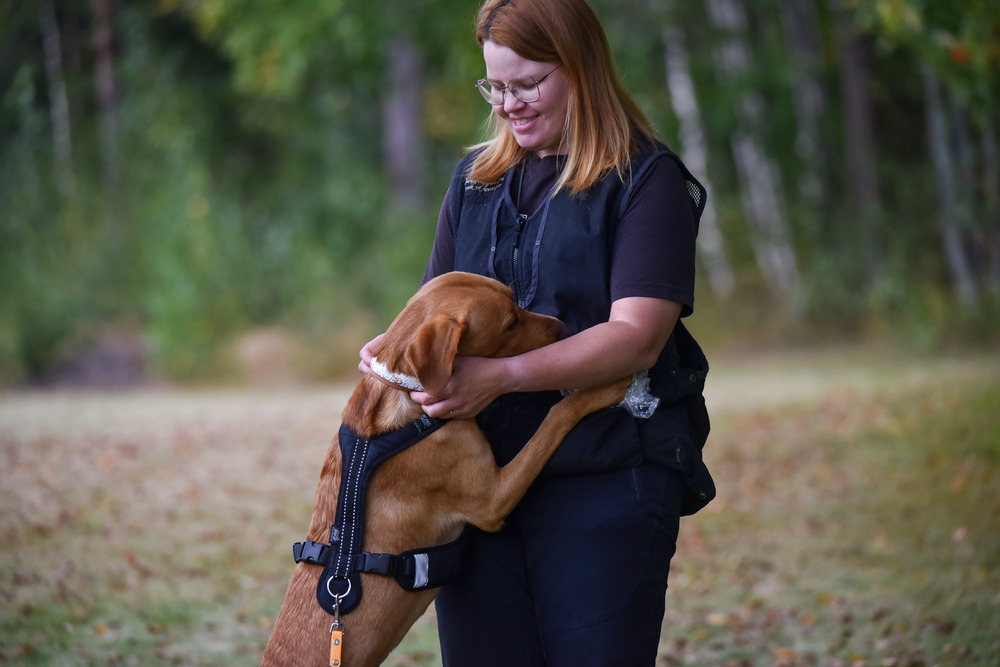 nainen ja labradori