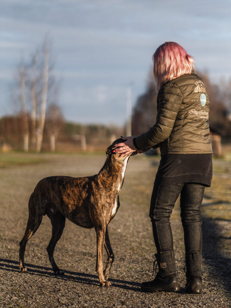 pirkko-liisa marttinen käyttää Nutrolinia greyhoundeilleen