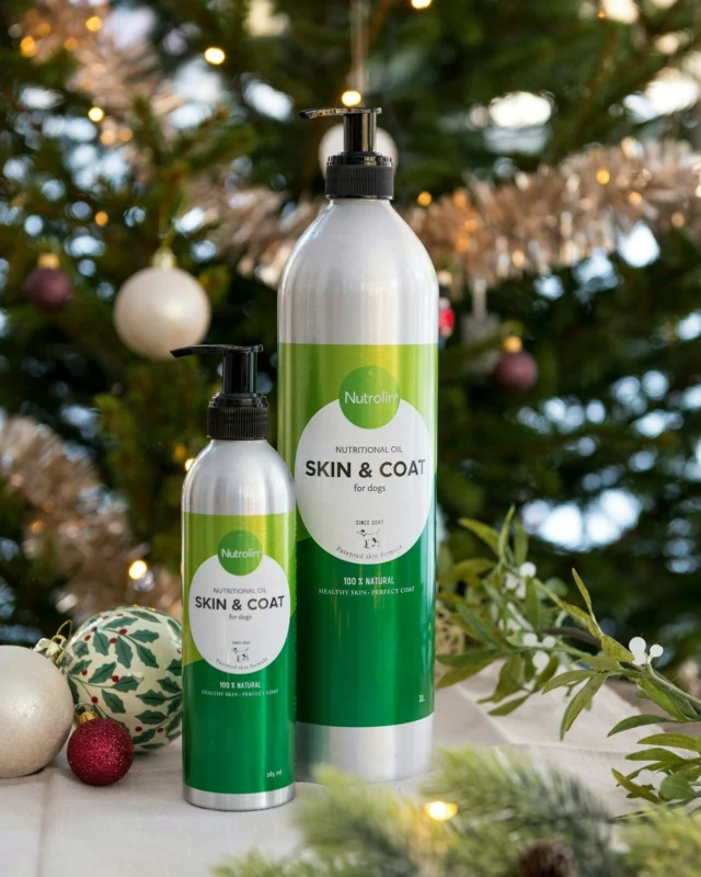 A coat shinier than the most beautiful Christmas bauble ✨🎄Nutrolin® Skin & Coat is a delicious and effective nutritional oil that supports dogs with skin issues such as itching, dull fur, and dry skin. It's a simple way to maintain your dog's skin health all year round. 🐕⁠
⁠
Order now and give your pet a healthy start to the new year! 💚