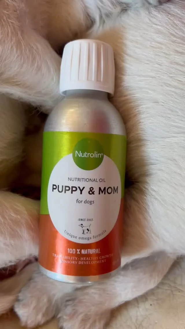 #OmegaMonday Planning to have a litter? A low level of omega-3 fatty acids in the body is linked to difficulties in becoming pregnant, which also applies to dogs.If this is your dog’s first litter and you have been giving her courses of Nutrolin® or other fish oil products, you can start giving her Nutrolin® PUPPY & MOM during the last trimester of her pregnancy. This period is crucial because it’s when the brains of the developing puppies grow the most.If the dog has had puppies before, its DHA reserves may be low. In this case, you should start giving puppy oil before breeding.#nutrolinlife #nutrolin #nutrolinpuppymom #koirankasvatus #dogbreeding #pentuelämää #puppylife #valp